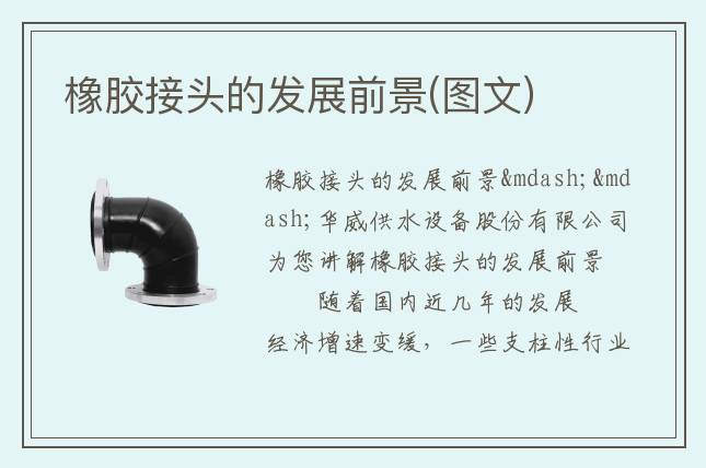 橡膠接頭的發展前景(圖文)